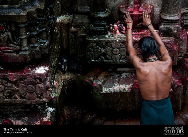Hidden Faith:  A Devotion Beyond the Visible